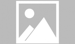 性转换 漫画,一场跨越性别的奇幻冒险